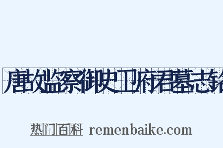 唐故监察御史卫府君墓志铭是什么意思的图片